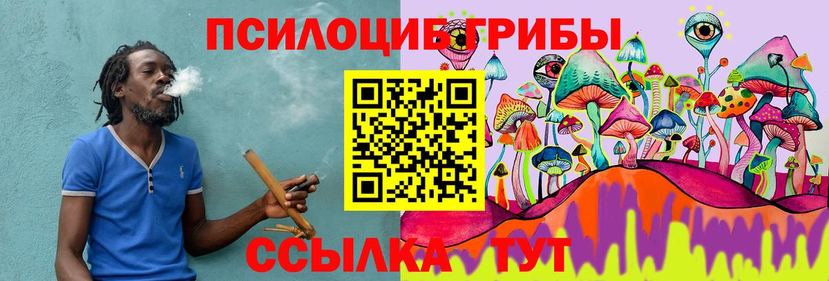 Галлюциногенные грибы Cubensis Тосно